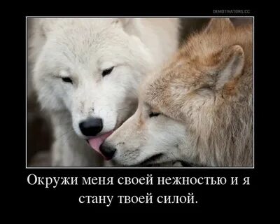 Я может и не стану твоим