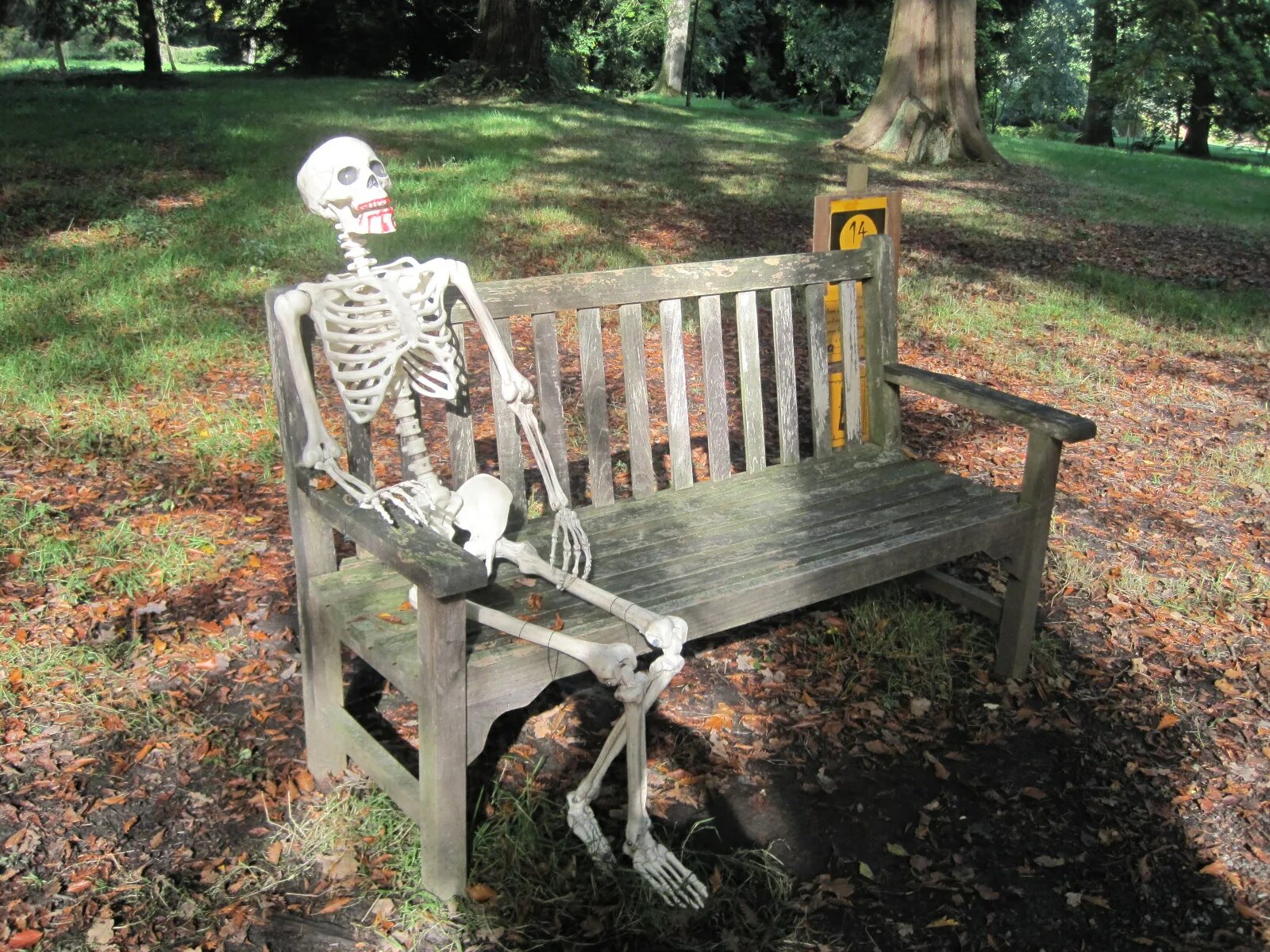Waiting for normal