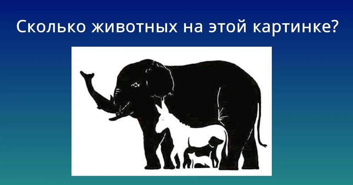 Сколько 2 ты видишь. Сколько живетный на картинке. Сколько животных на картинке. Сколько животных видите на картинке. Сколько животных вы.