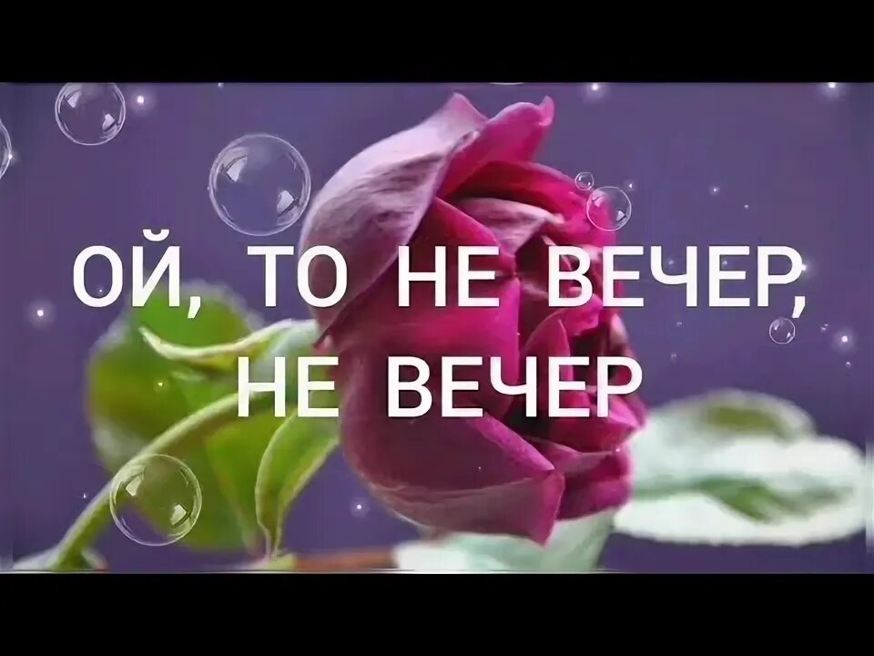 Трио реликт википедия. Не вечер ютуб. Не вечер ютуб. Кавер группа еще не вечер нижний новгород. Не вечер ютуб.