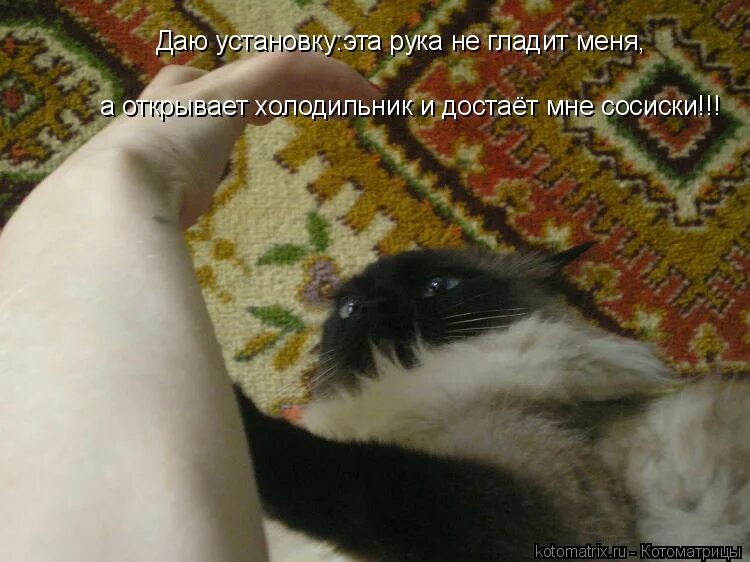 Давай без установки. Прогоняешь. Давай без установки. Давай без установки. Даю установку.