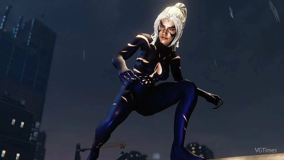Black cat web of shadows