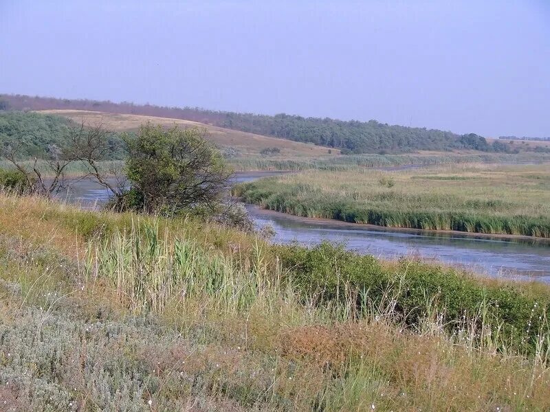 Каналы реки ея. Река ея Краснодарский край станица Старощербиновская. Река ея Краснодарский край Кущевская. Станица Новопокровская река ея. Кущёвская станица река ея.