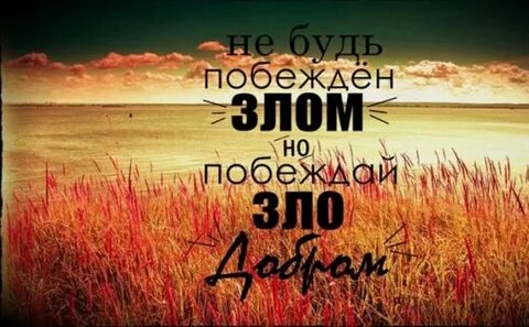 Побеждает любовь побеждает добро