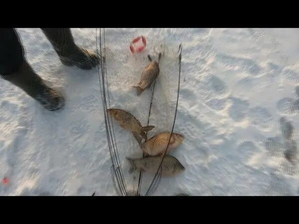 Ловля на хапугу видео. Рыболовная снасть хапуга. Сибирский Скиф мордушки. Хапуга для зимней рыбалки. Хапуга удочка для зимней рыбалки.