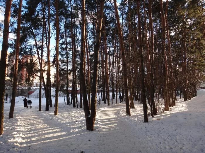 Сосенки царицыно