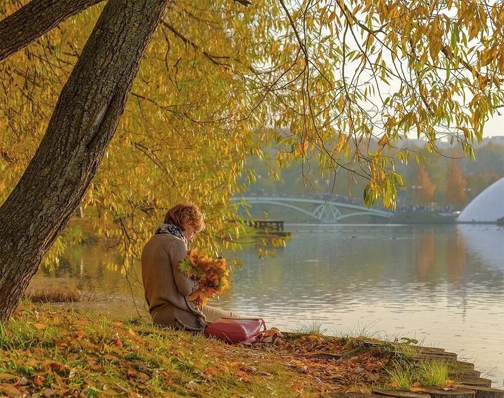 Осенняя тишина. Осень у озера мужчина. Разговор в осеннем саду. Бабье лето.