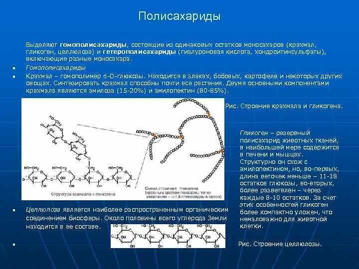 Строение полисахаридов. Характеристика полисахаридов. Функции крахмала биохимия. Полисахариды биохимия.