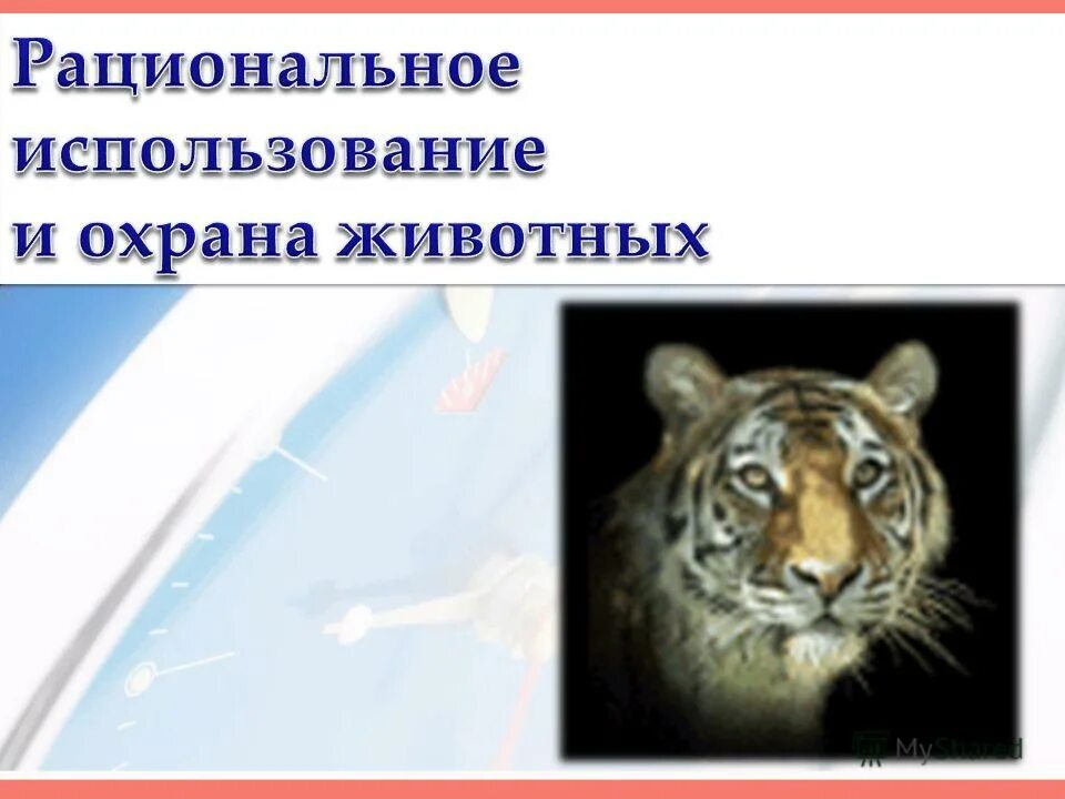 Методы охраны животного мира. Правовой режим пользования животным миром. Правовой режим использования и охраны животного мира. Охрана и рациональное использование животного мира. Рациональное использование животных.