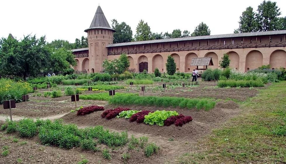 Первые аптекарские огороды. Первые аптекарские огороды. Ботанический сад 1706 год. Первые аптекарские огороды. Первые аптекарские огороды.