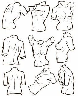 Female torso Drawing References.