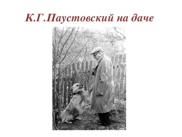 Паустовский с животными. Паустовский в Тарусе с псом грозным. Паустовский с собакой. Как паустовский относится к животным