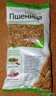 Куда продать зерно
