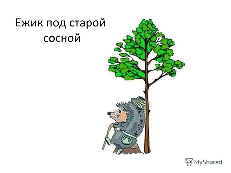 зеленою весной под старою сосной. на старых соснах главное слово. белый гриб презентация. зелёною весной под старою сосной с любимою. бесков э.