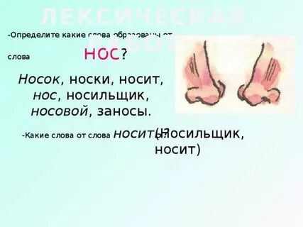 Слово нос образовано от слова