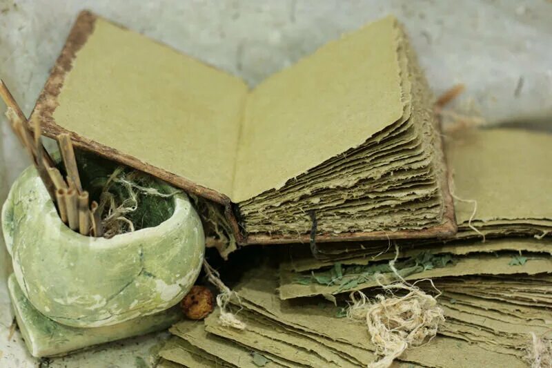 исследовательская домашняя работы. математика в школе. красная книга казахстана книга. домашнее задание картинка. влияние пыли на организм человека презентация.