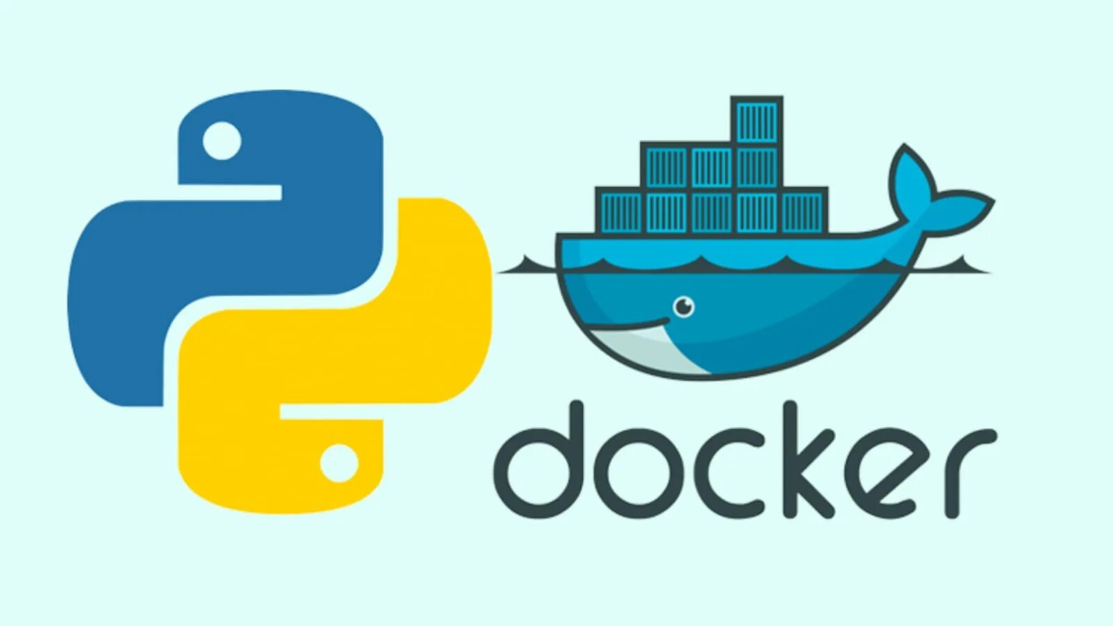 Python docker py. Пайтон ап. docker перевернутый кит. docker run картинки. i love python.