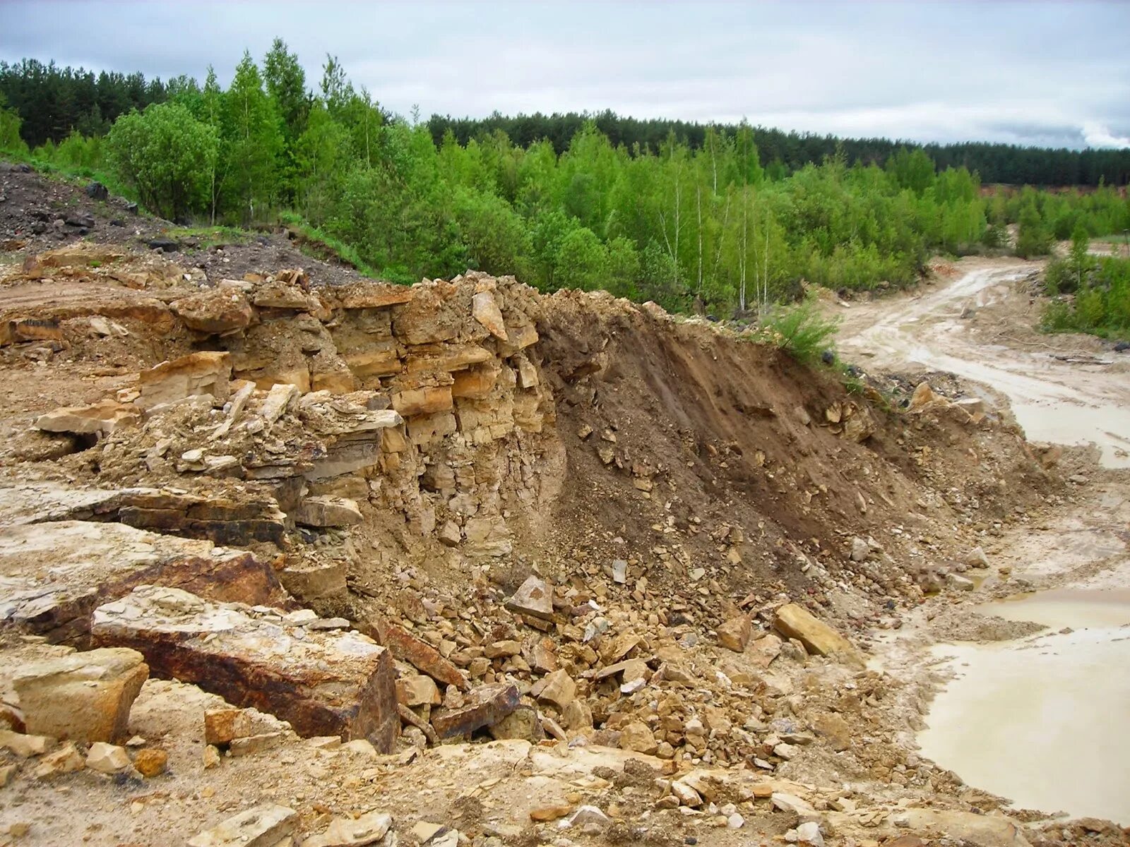 Добыча полезных ископаемых вологодская область