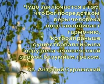 Чудеса жизни рассказы
