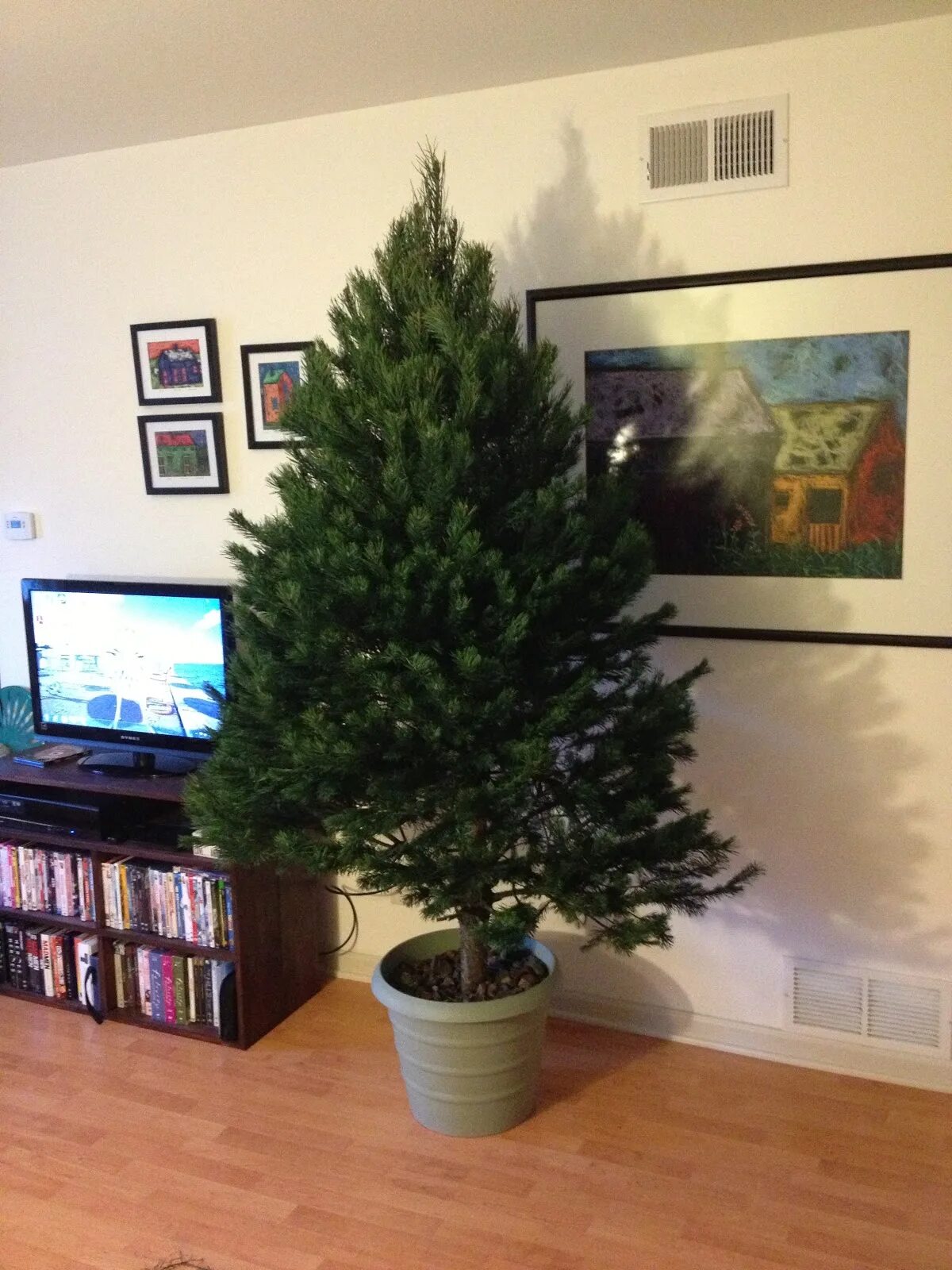 Подставка для елки «krinner premium xl». Крепление для новогодней елки. Как поставить живую елку в подставку. Как поставить живую елку в подставку. Как поставить живую елку в подставку.