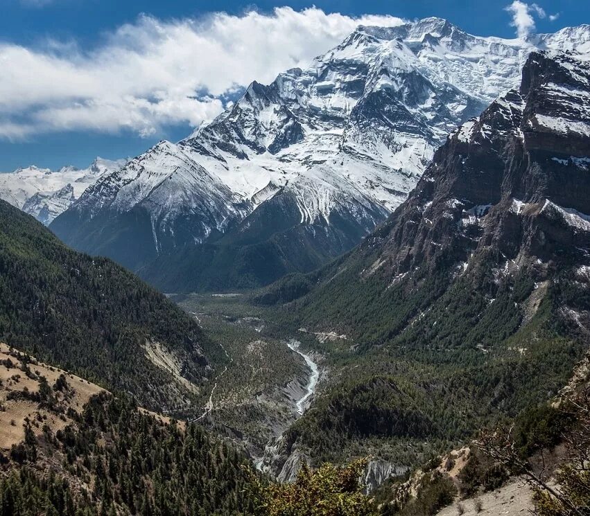 Горы Гималаи. Северные Гималаи. Гималаи высота. Горы Гималаи фото. Склоны гималаев