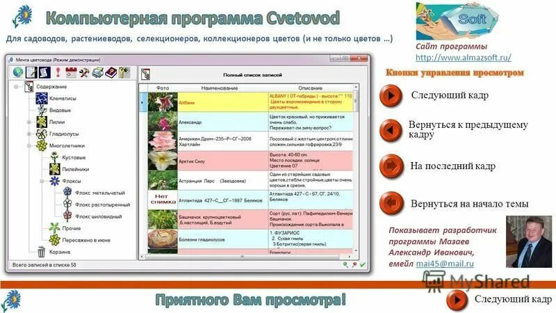 Программа по сайту. Программа первого канала. Сайт программы давай. Сайт программы давай. Сайт программы давай.