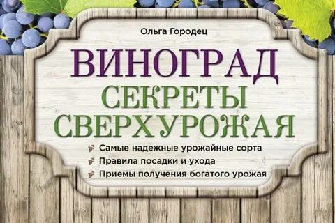 Виноград красноярск