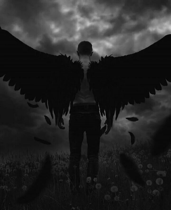 Черные крылья. Черный ангел. Человек с черными крыльями. Человек с крыльями. Черный ангел.