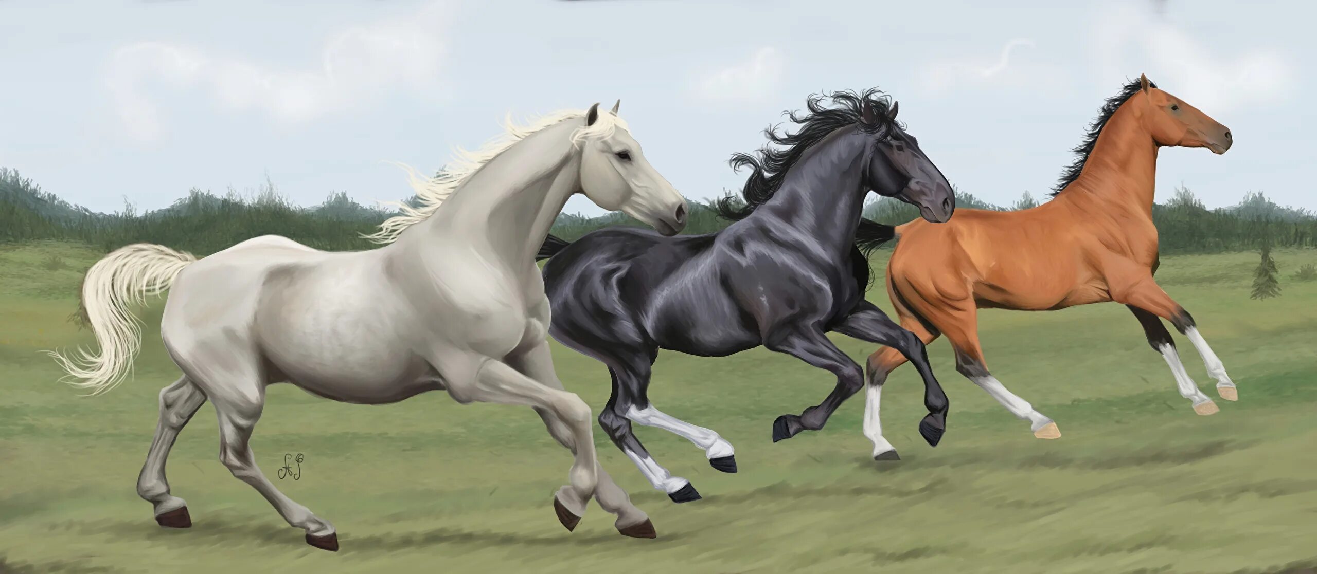 лошадь 3/10. тройка бегущих лошадей. очень красивые лошади. 3 а лошадь 6. скакуны лошади.