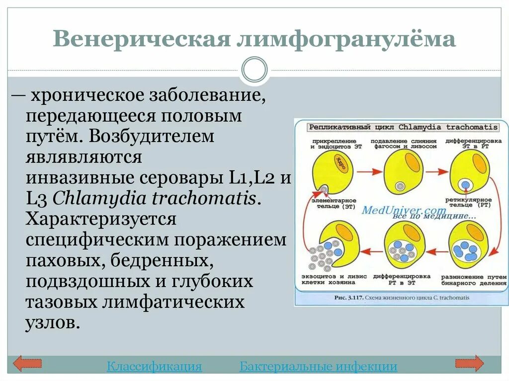 Болезни передающиеся половым путем. Антитела демотиватор. Иммунитет половым путем. Иммуногенез. Иммунитет половым путем.