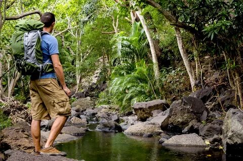 What is your attitude to ecotourism