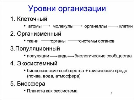 Свойства тканевого уровня организации