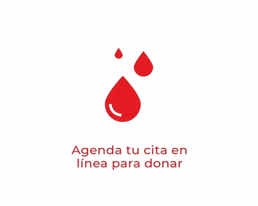 Cuántos litros de sangre se puede donar