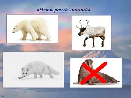 Игра животные севера