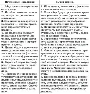 Таблица сравнительная характеристика червей плоские круглые кольчатые