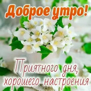 Доброе утро последний день года 31