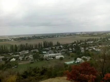 Погода в крыму село яркое поле