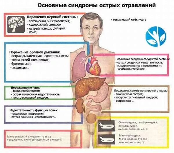 Мой организм отравлен алкоголем. Сын пьет. Мой организм отравлен алкоголем. Мой организм отравлен алкоголем. Отравление организма алкоголем.