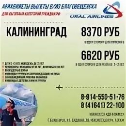Дальневосточный феникс благовещенск