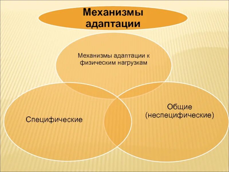 3 группы адаптации. Механизмы и эффекты адаптации организма к физическим нагрузкам. Схема механизмов адаптации. Адаптация физиология. Механизмы психологической адаптации.