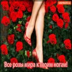 Я готов к твоим ногам