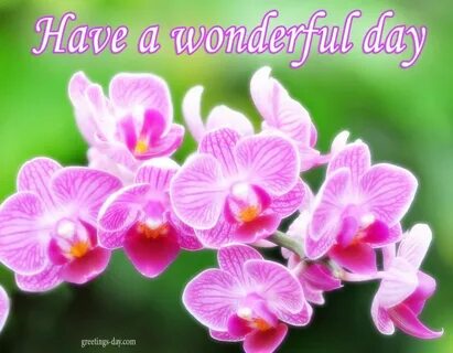 Wonderful day