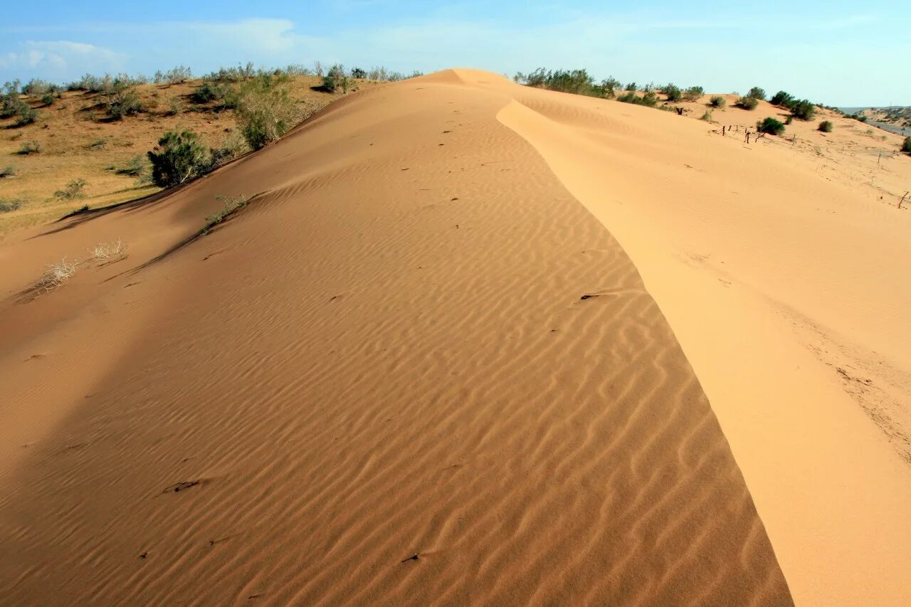 д б пустынь. астрахань пустыня бархан большой брат. заоникиевский монастырь вологодская область. арчединские пески волгоградская область. батпайсагыр пустыня.