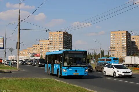 Маршрут 481 автобуса спб
