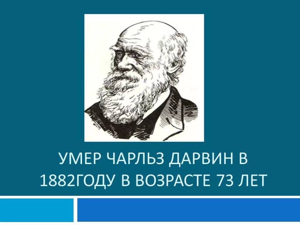 Дарвин презентация 9 класс