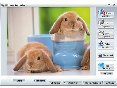 I screen