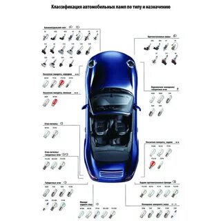 Разновидности автомобильных ламп