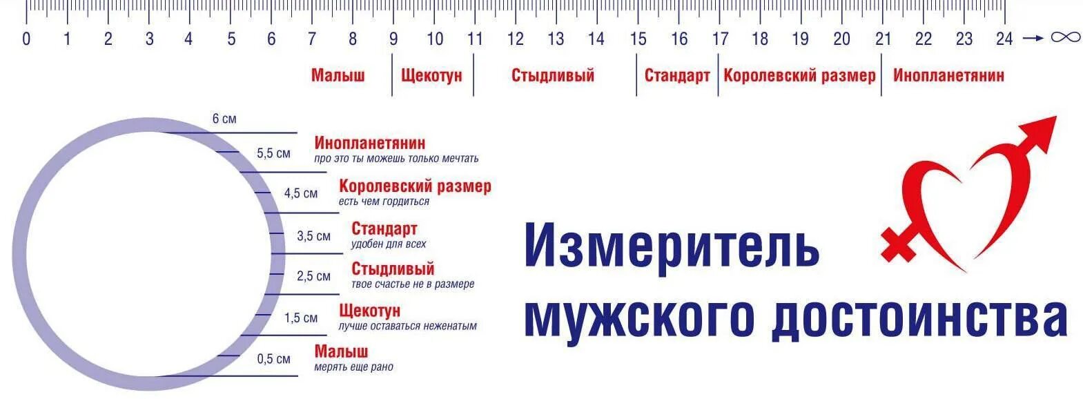 Сколько хватает женщине. Норма размера полового члена. Таблица размеров мужского полового органа. Нормальный диаметр члена. Нормальный размер мужского полового члена.