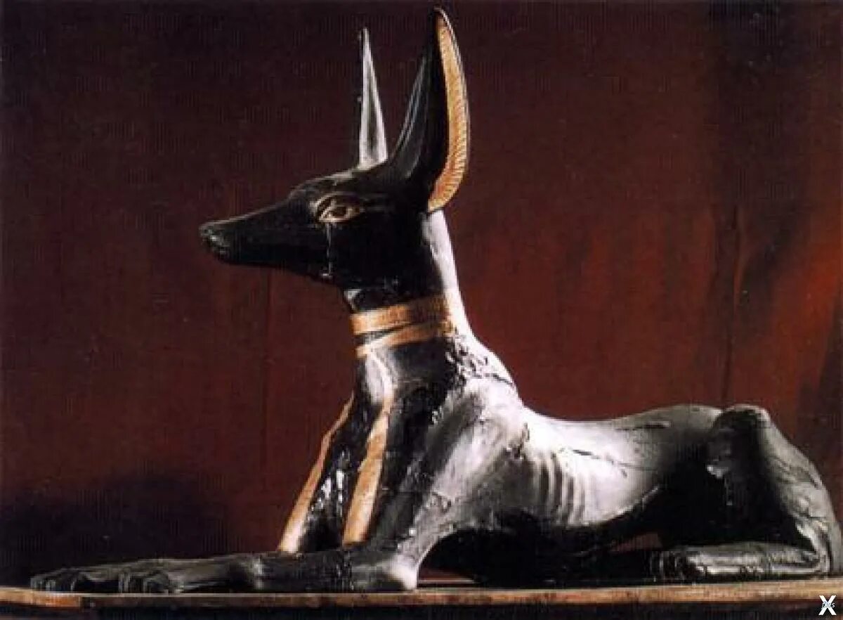 Животные богов египта. Упуаут Египетский Бог. Бог Египта Анубис Анубис Священное животное. Священные животные древнего Египта Шакал. Священное животное в древнем Египте.