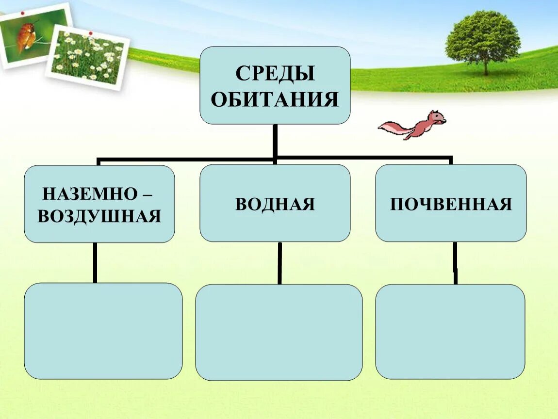 Среда обитания. Среда. Среды обитания организмов. Среды обитанияобитания. Среда обитания 5 класс биология конспект кратко